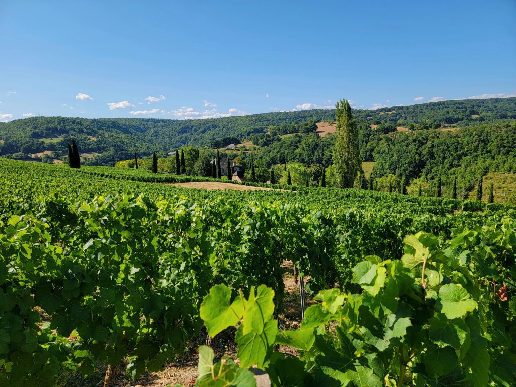 ruta del vino de burdeos en autocaravana