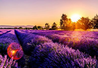 La Provenza en autocaravana: Ruta de 8 días entre campos de lavanda